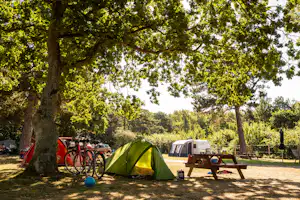 Galløkken Camping - Standplätze im Grünen auf dem Campingplatz