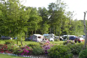 GalsKlint Camping - schattiger Wohnmobilstellplatz auf dem Campingplatz