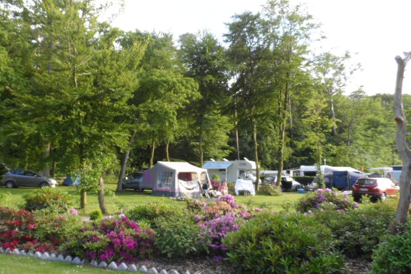 GalsKlint Camping - schattiger Wohnmobilstellplatz auf dem Campingplatz 
