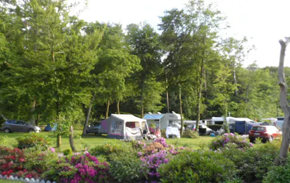 Noordwind Camping Galsklint