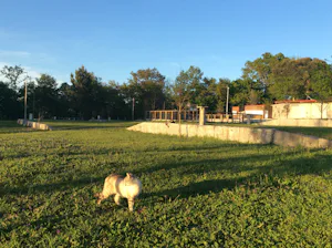 GarfePark Camping