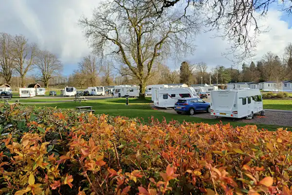 Callander Woods Holiday Park