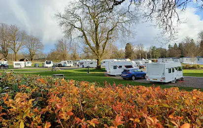 Callander Woods Holiday Park