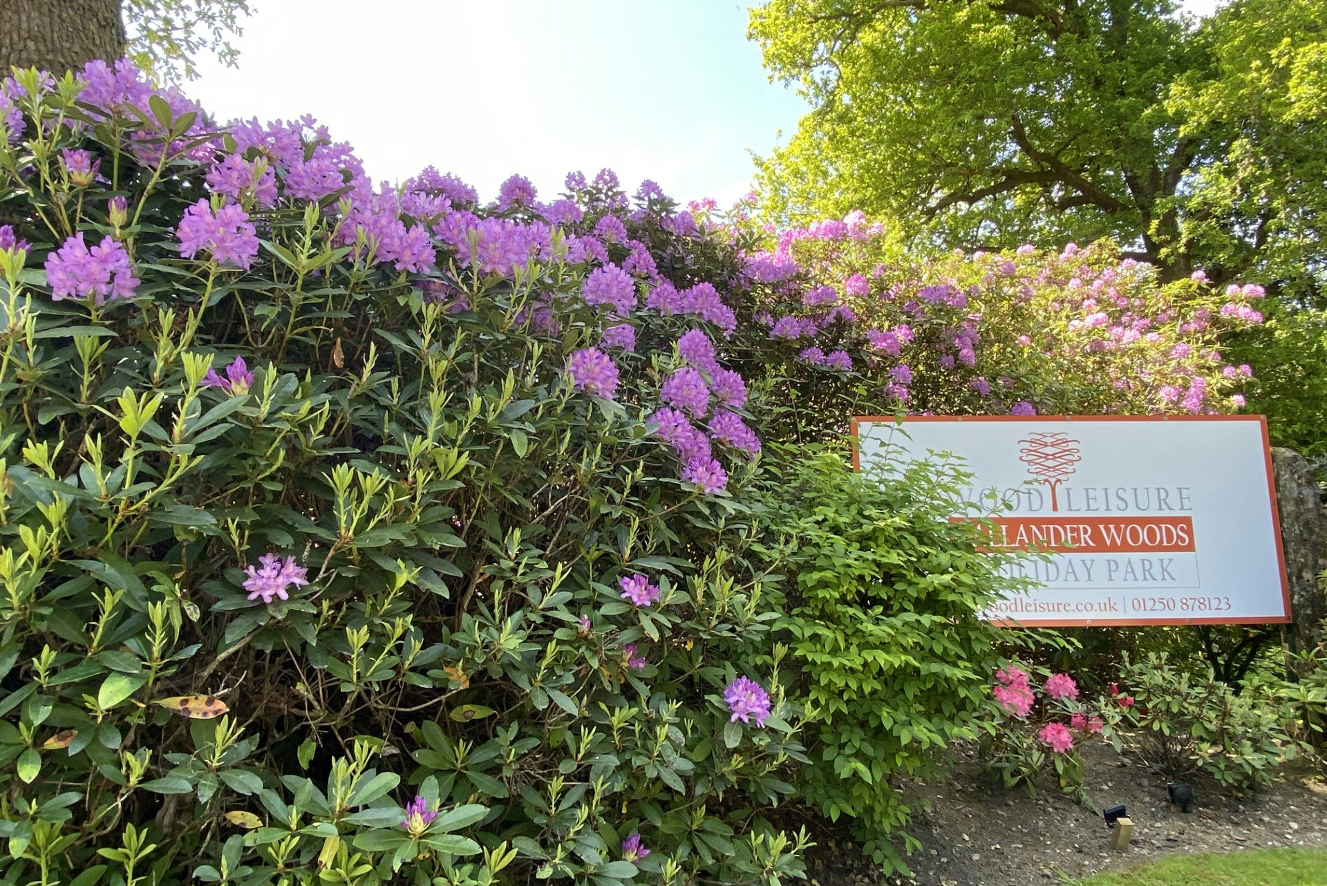 Callander Woods Holiday Park  Gart Caravan Park - Schild am Eingang des Campingplatzes