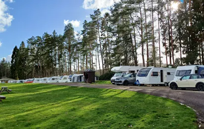 Callander Woods Holiday Park