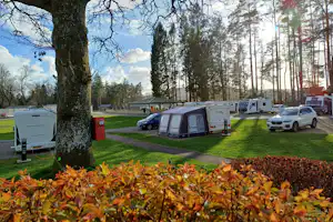 Callander Woods Holiday Park Gart Caravan Park - Standplätze zwischen den Bäumen auf dem Campingplatz