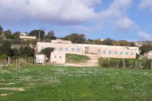 Ghajn Tuffieha Campsite - Campingplatzanlage im Grünen auf dem Campingplatz