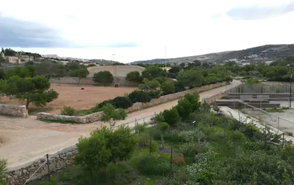 Ghajn Tuffieha Campsite