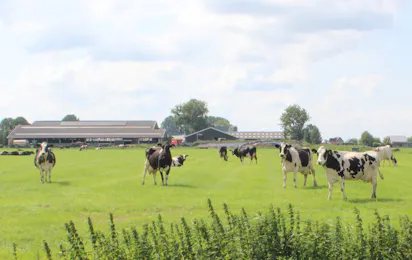Glamping Camping Nix Hoeve