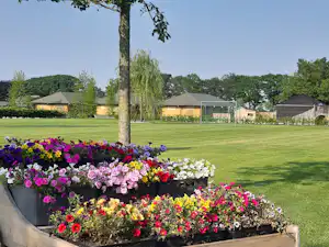 Blumenbeete mit bunten Blüten vor einem gepflegten Campingplatz mit Rasen, Zelten und Gartenwegen.