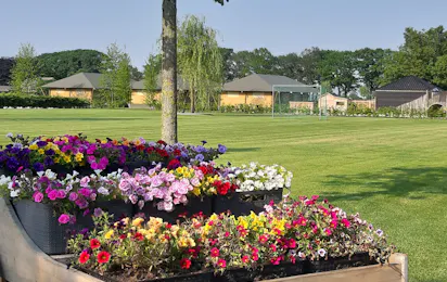 Glamping De Rode Vos