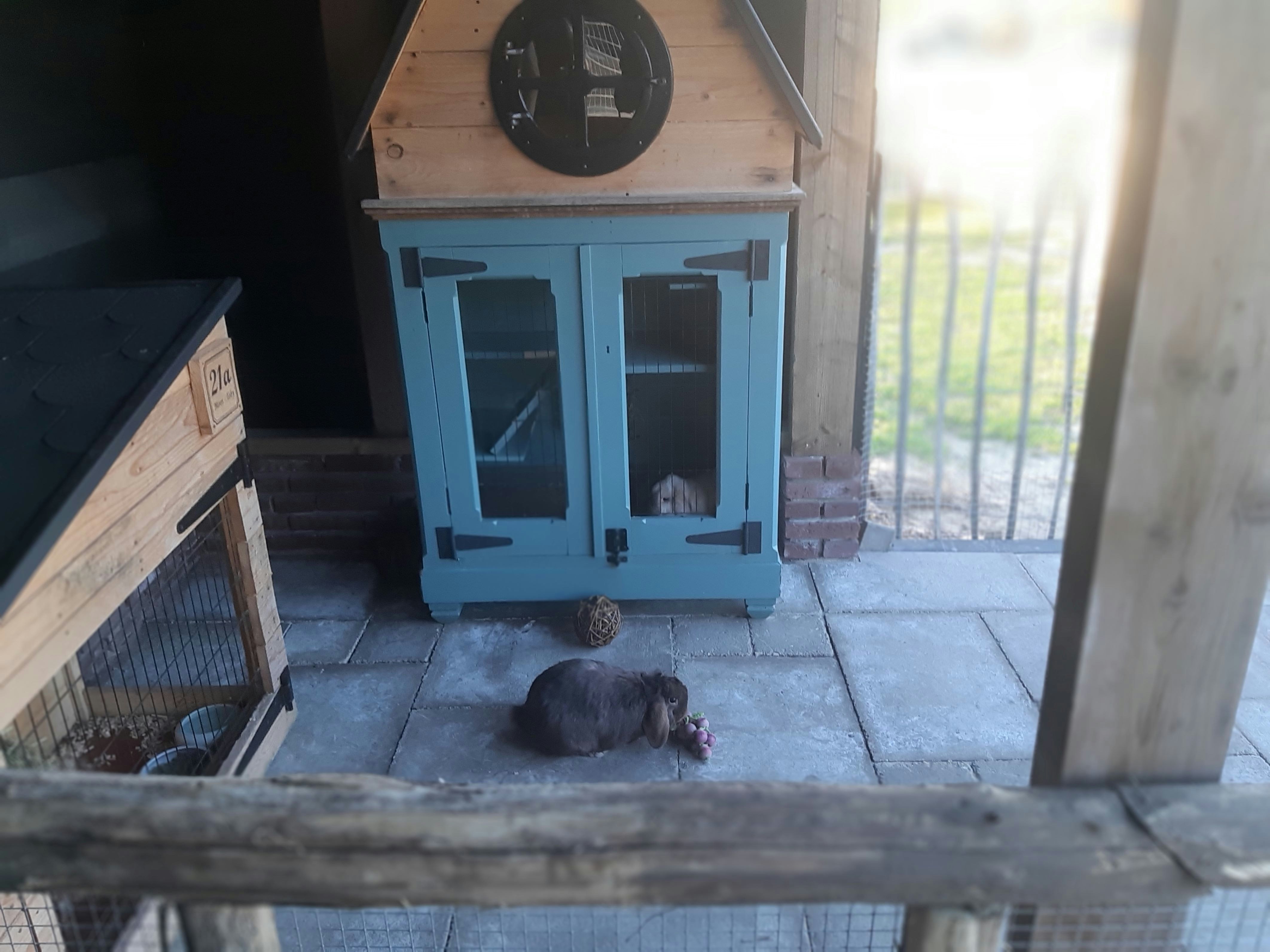 Glamping De Rode Vos