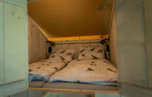 Glamping De Rode Vos