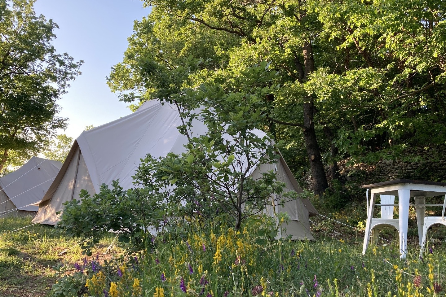 Glamping Dimore Montane - Glamping-Zelt auf dem Campingplatz zwischen den Bäumen