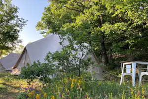 Zelt auf einem Campingplatz im Grünen, umgeben von Bäumen und Wiesenblumen, daneben ein weißer Stuhl.