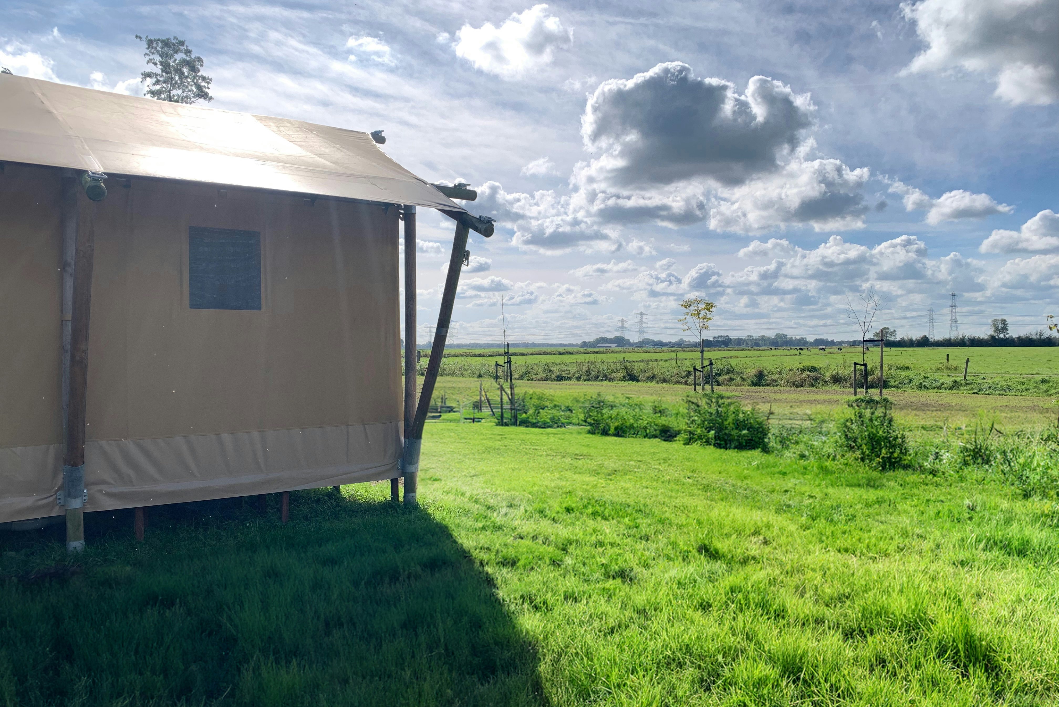 Glamping Franse Peer - Glamping-Zelt auf der Wiese