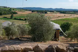 Olivenbaum im Vordergrund, Zelt und Campingplatz am Hang mit Feldern und Hügeln in der Ferne.