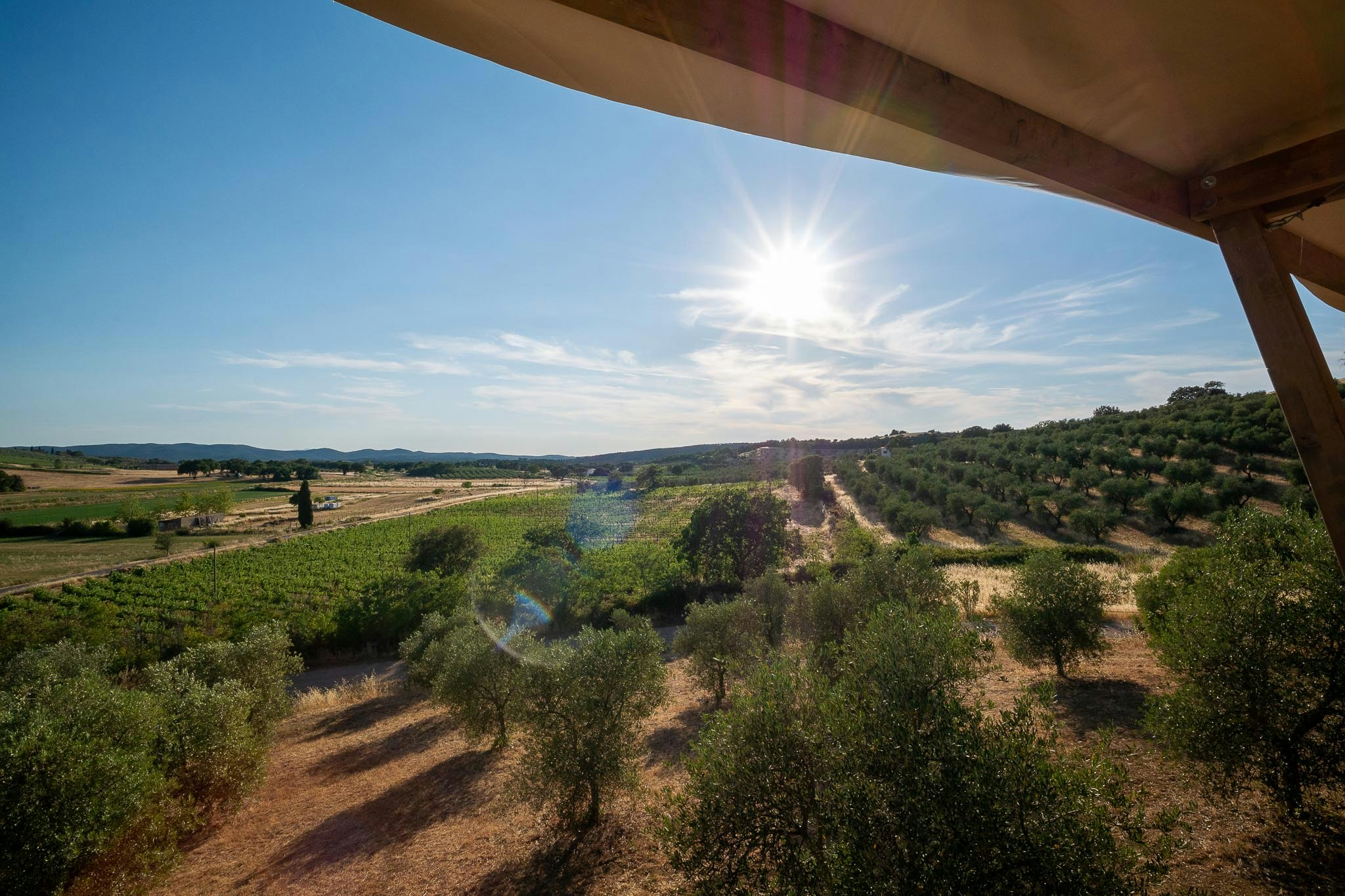 Blick vom Campingplatz auf Olivenhaine, einen Feldweg und ein weites Tal unter klarem Himmel.