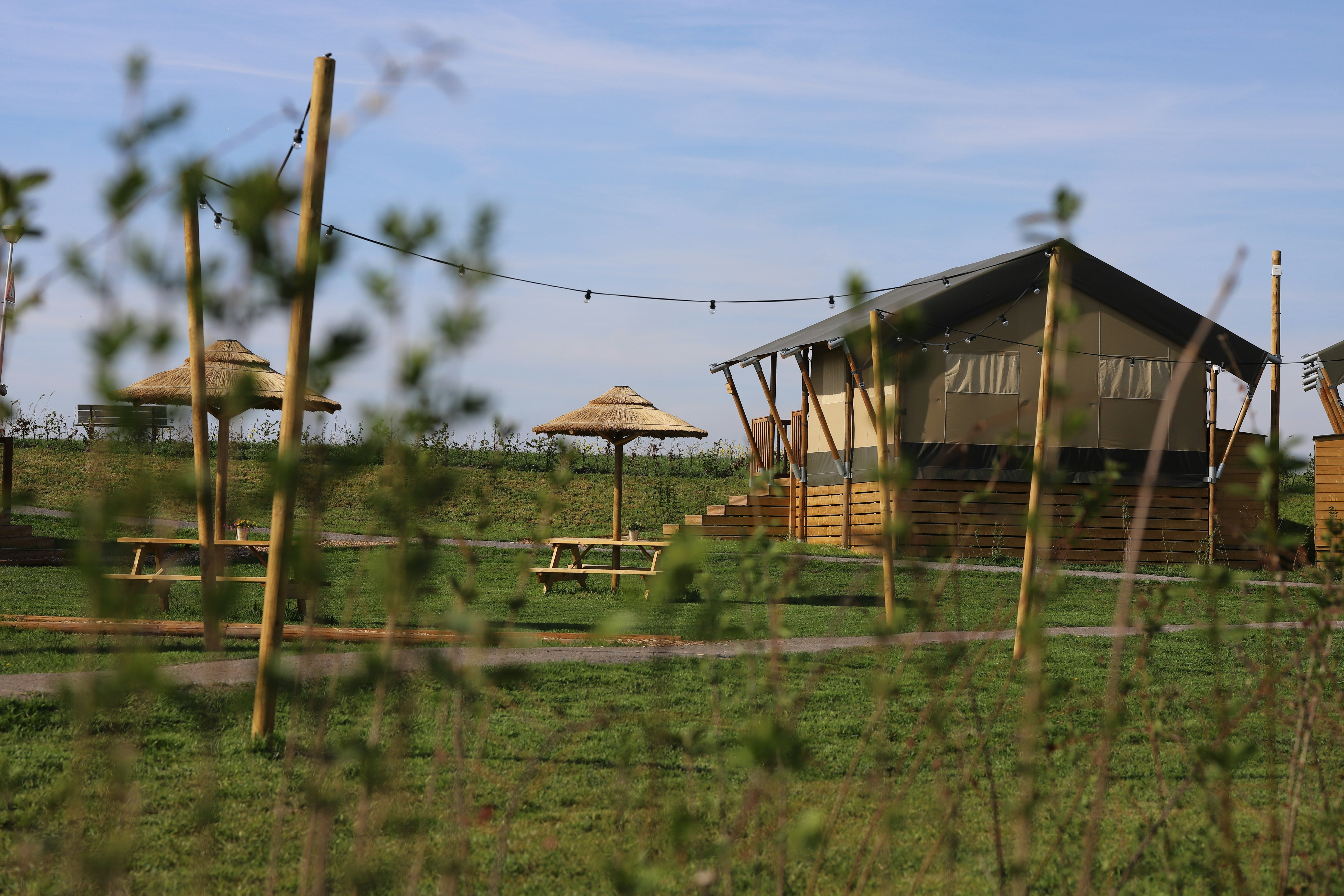 Glamping Terra Zen - Blick auf ein Glamping-Zelt auf dem Campingplatz