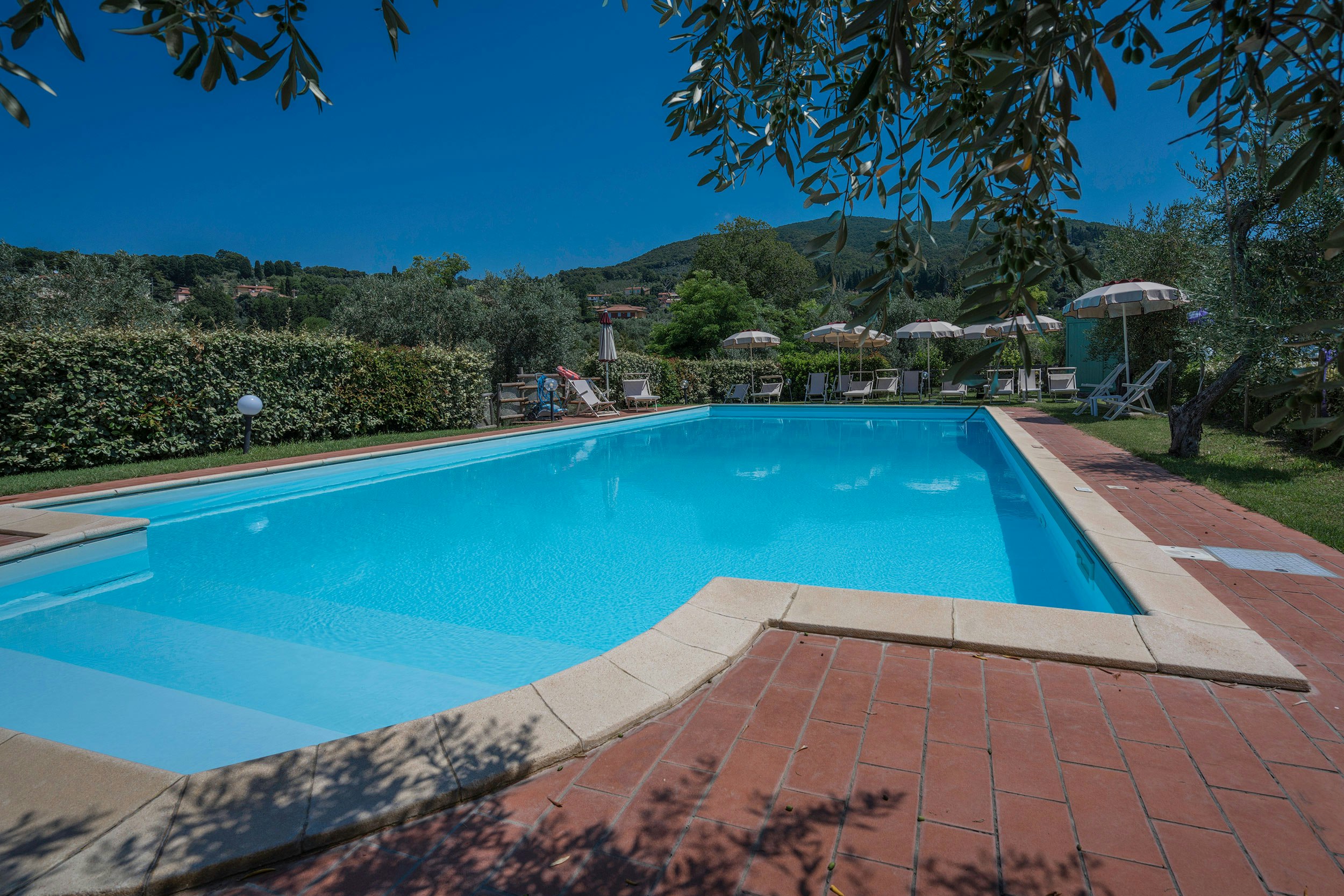 Glamping Tuscany - Podere Cortesi  - Pool im Freien mit Liegestühlen und Sonnenschirmen