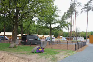 Campingplatz mit Wohnwagen und Mobilheimen hinter einem Zaun, Bäume im Hintergrund und ein Weg am Rand.