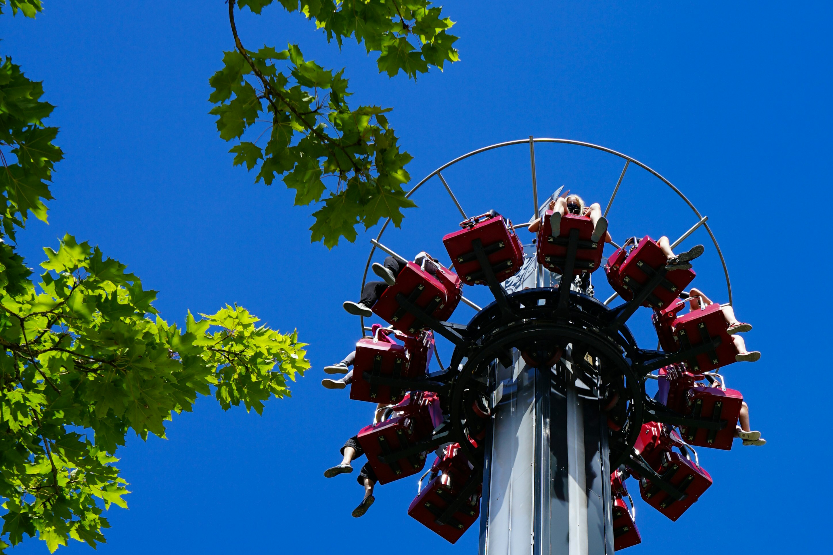 Achterbahn mit roten Sitzen und Sicherheitsbügeln, aufgenommen von unten vor blauem Himmel und grünen Baumkronen.