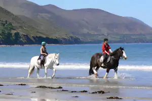 Glenross Caravan and Camping Park - Reiten am Strand in der Nähe des Campingplatzes