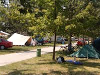 Gran Camping - Zeltplatz und Wohnwagenstellplatz auf der Wiese im Schatten der Bäume auf dem Campingplatz