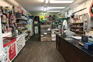 Innenansicht eines Camping-Shops mit Regalen, Kasse und Verkaufsständen, im Hintergrund weitere Verkaufsflächen.