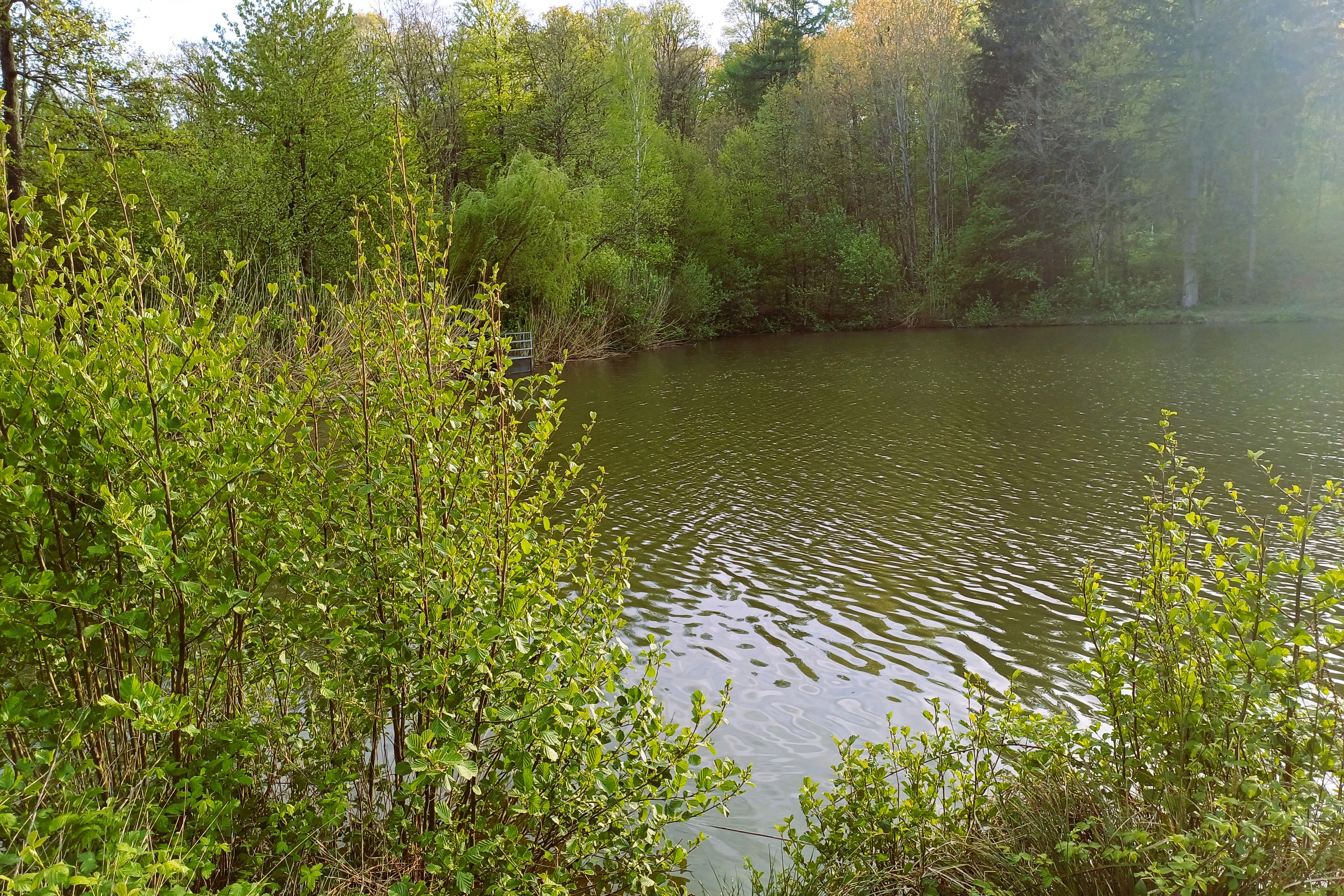 Green Camp Schleierhof - Blick auf den See am Campingplatz