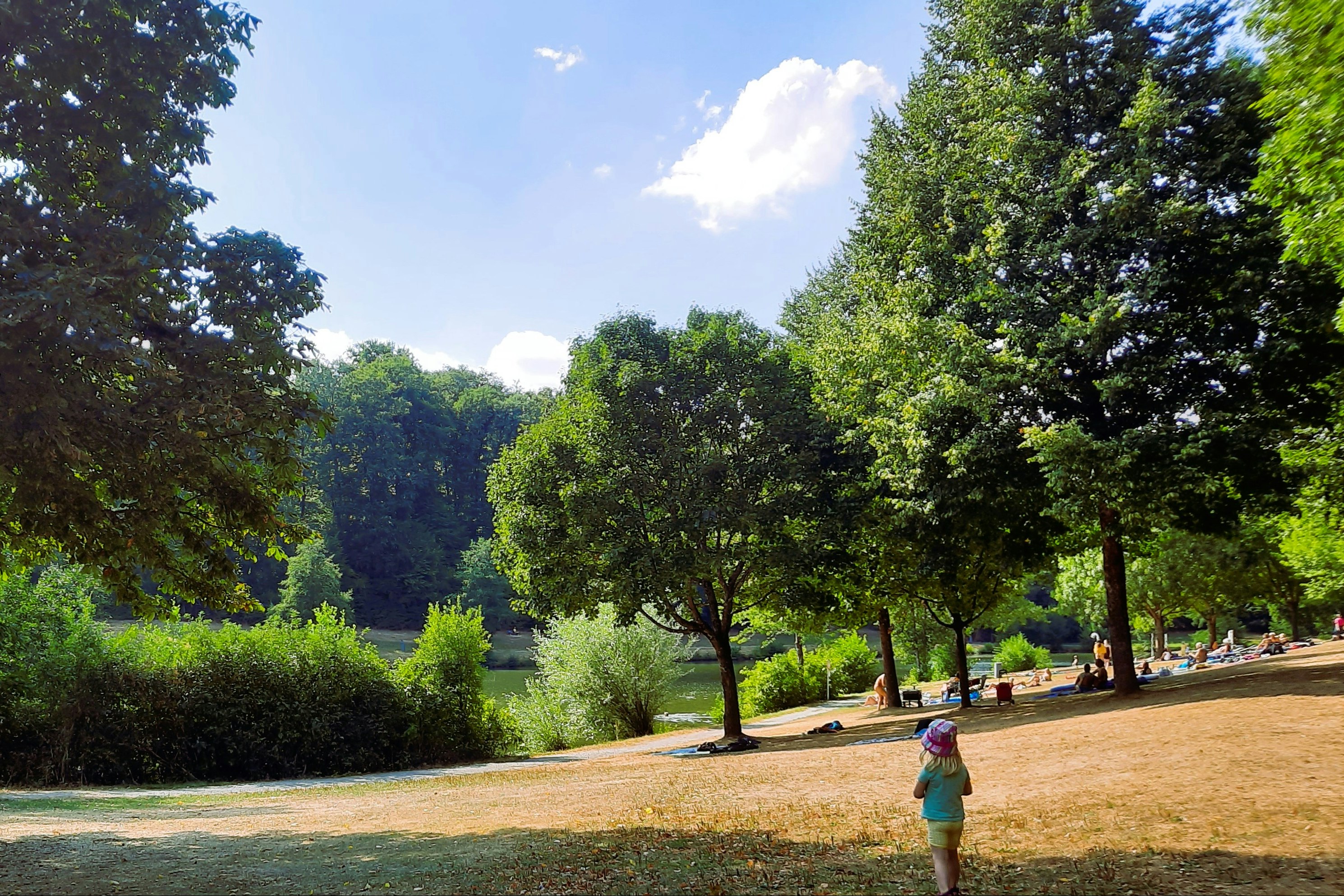 Green Camp Schleierhof - Liegewiese am Badesee