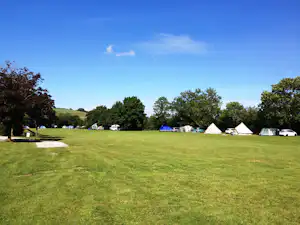 Große Rasenfläche auf einem Campingplatz mit mehreren Zelten und geparkten Autos am Rand, umgeben von Bäumen.