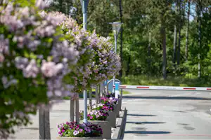Grenaa Strand Camping - Eingang des Campingplatzes