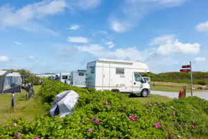 Wohnmobil auf einem Campingplatz, davor Hecken und Blumenbeete, im Hintergrund weitere Wohnwagen und ein Zelt bei blauem Himmel.