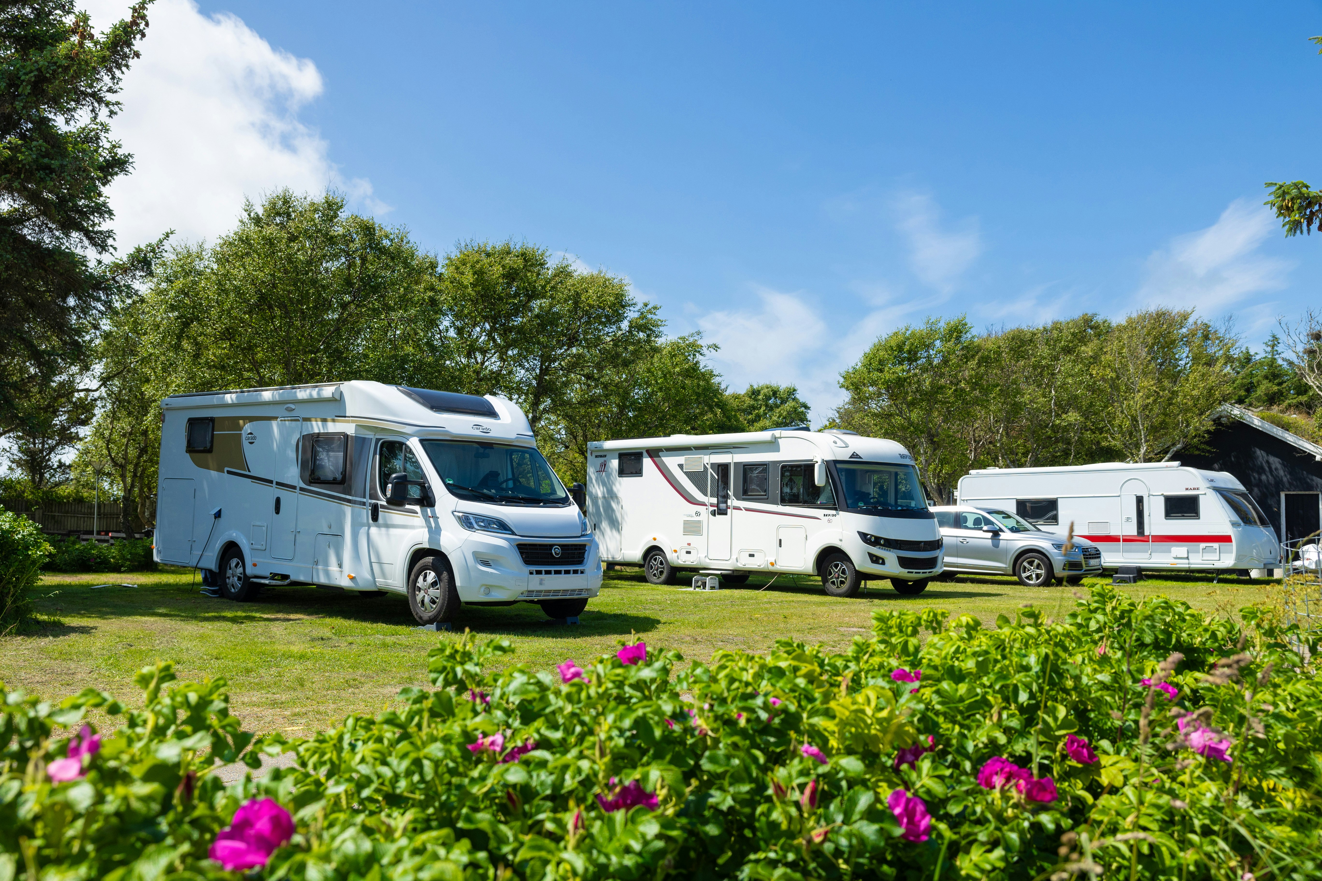 Wohnmobile auf einem Campingplatz, umgeben von Büschen und Blumenbeeten, mit Bäumen im Hintergrund und mehreren Fahrzeugen nebeneinander.