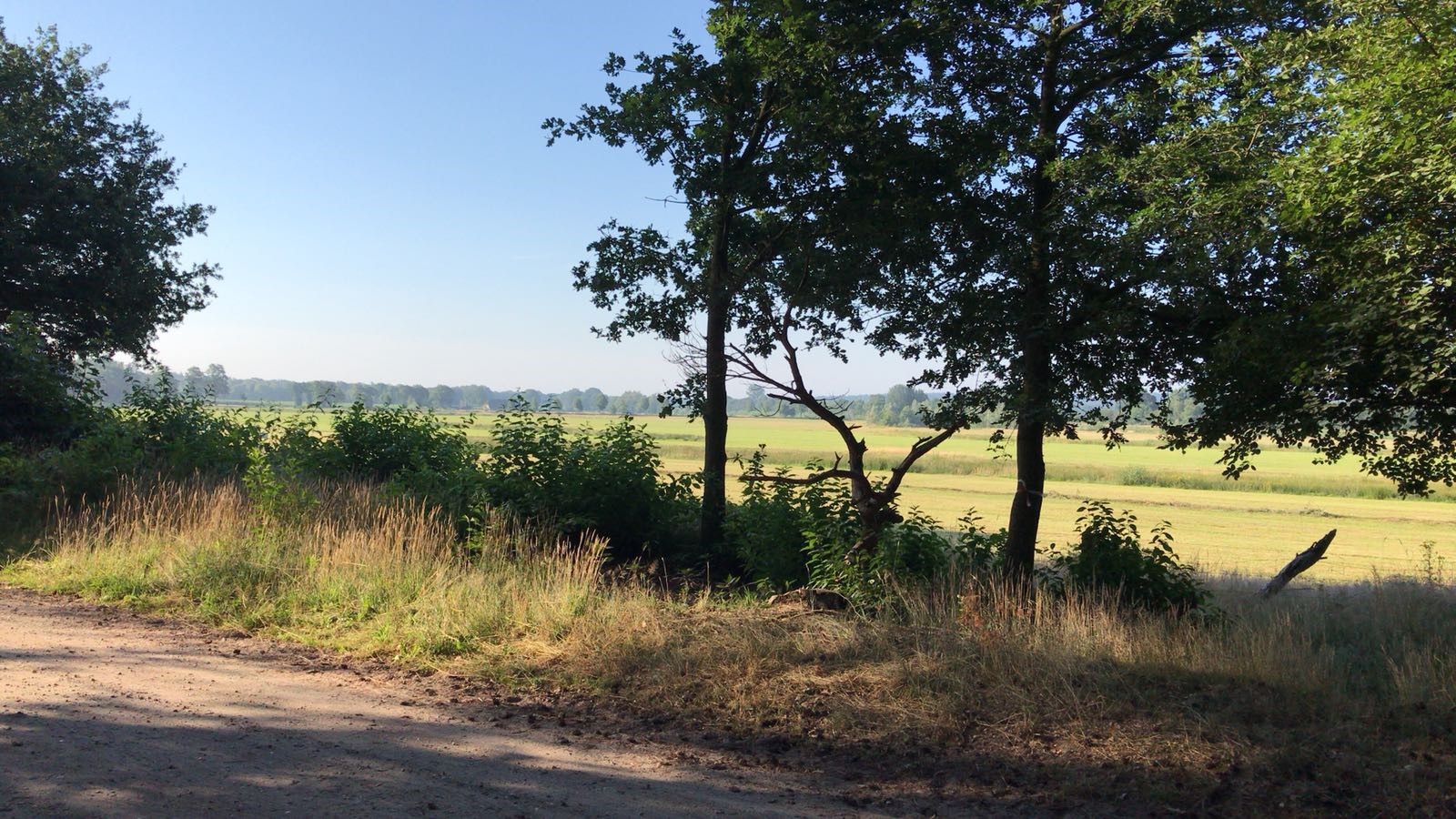 GroepsNatuurkampeerterrein De Wolfskuil
