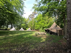 GroepsNatuurkampeerterrein De Wolfskuil