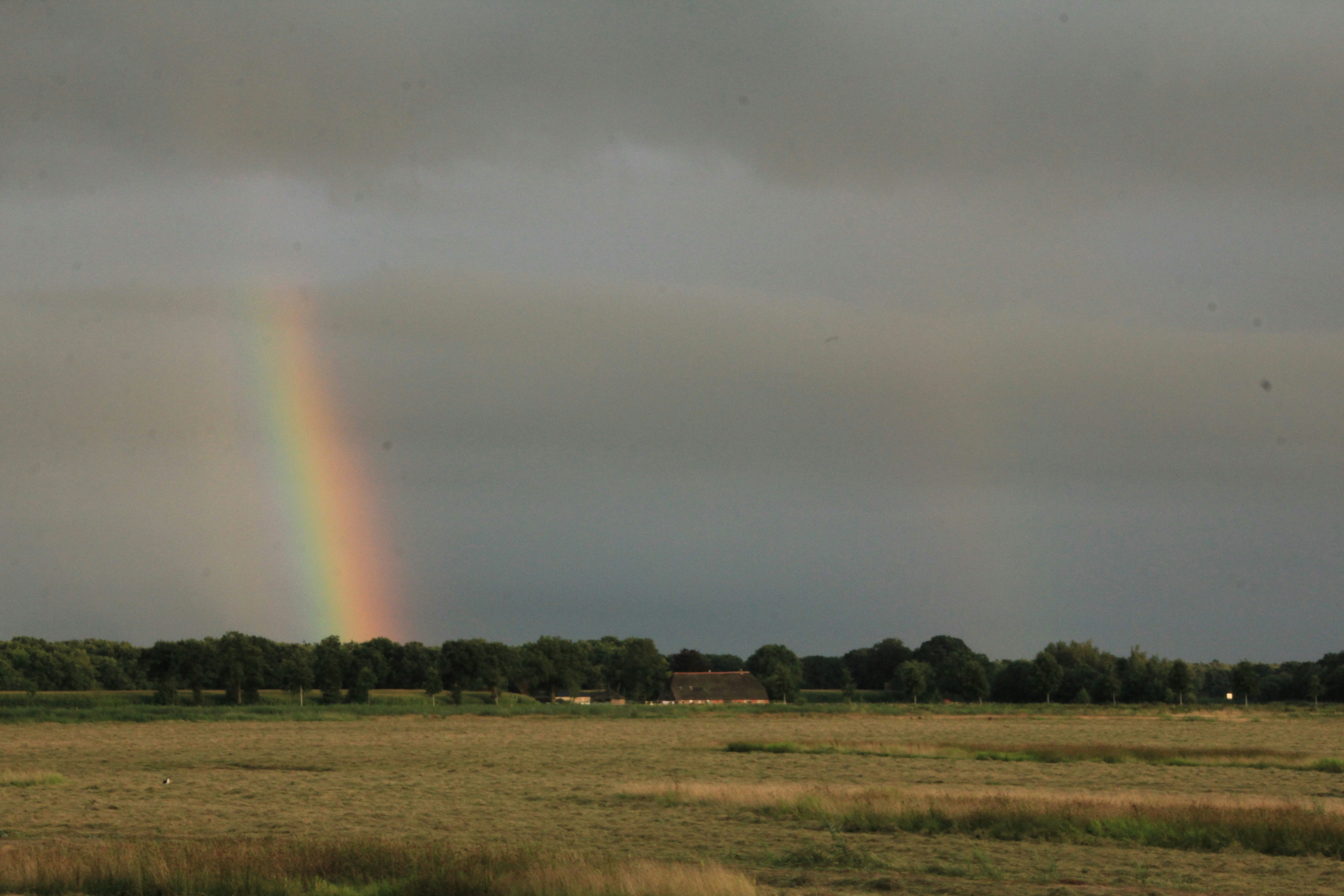 GroepsNatuurkampeerterrein De Wolfskuil