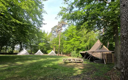 GroepsNatuurkampeerterrein De Wolfskuil