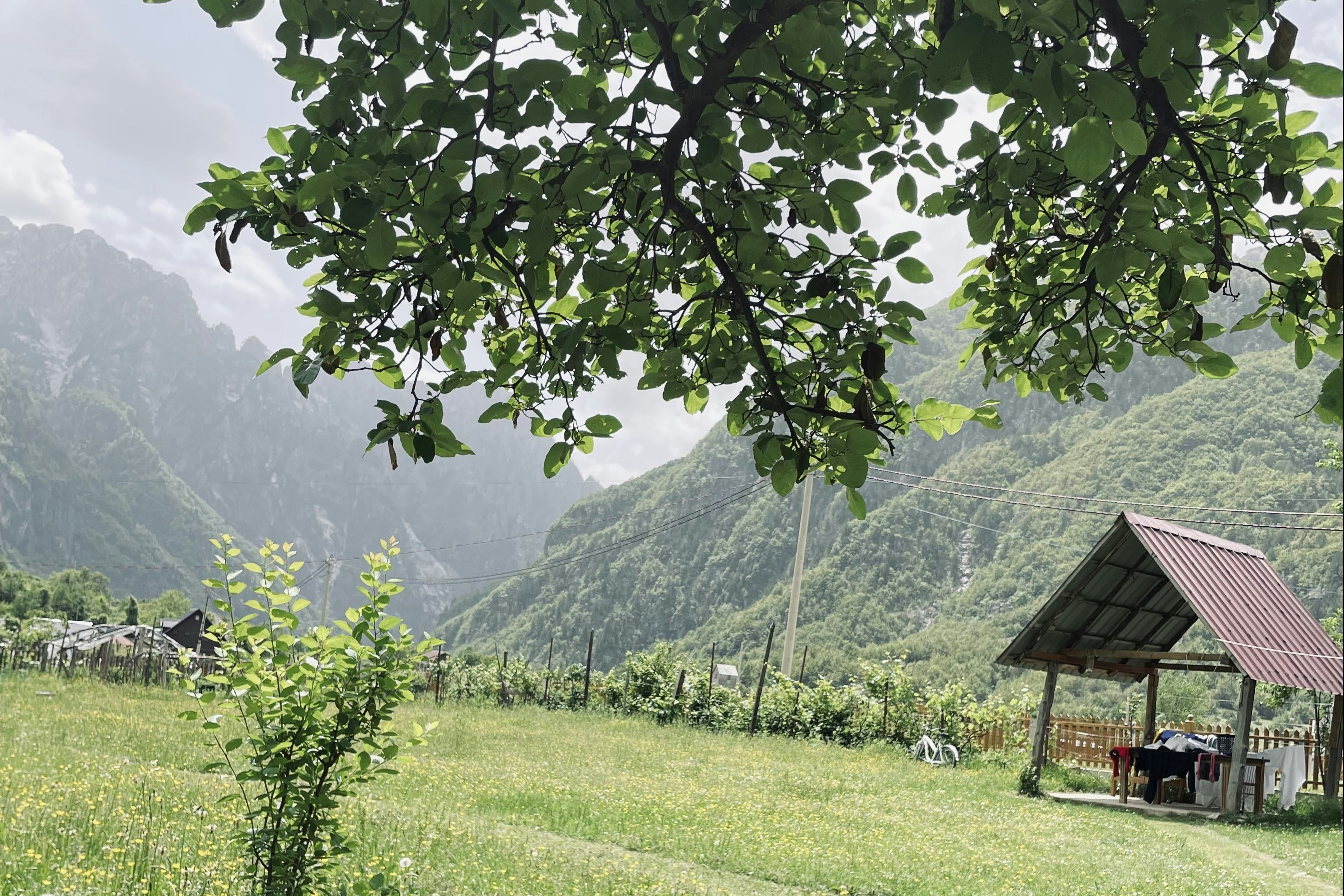 GuestHouse Gjovalin Lokthi - Blick auf den Campingplatz im Grünen