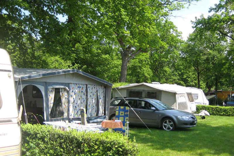 Gugel-Dreiländer-Camping- und Freizeitpark  -  Wohnmobilstellplatz vom Campingplatz im Grünen