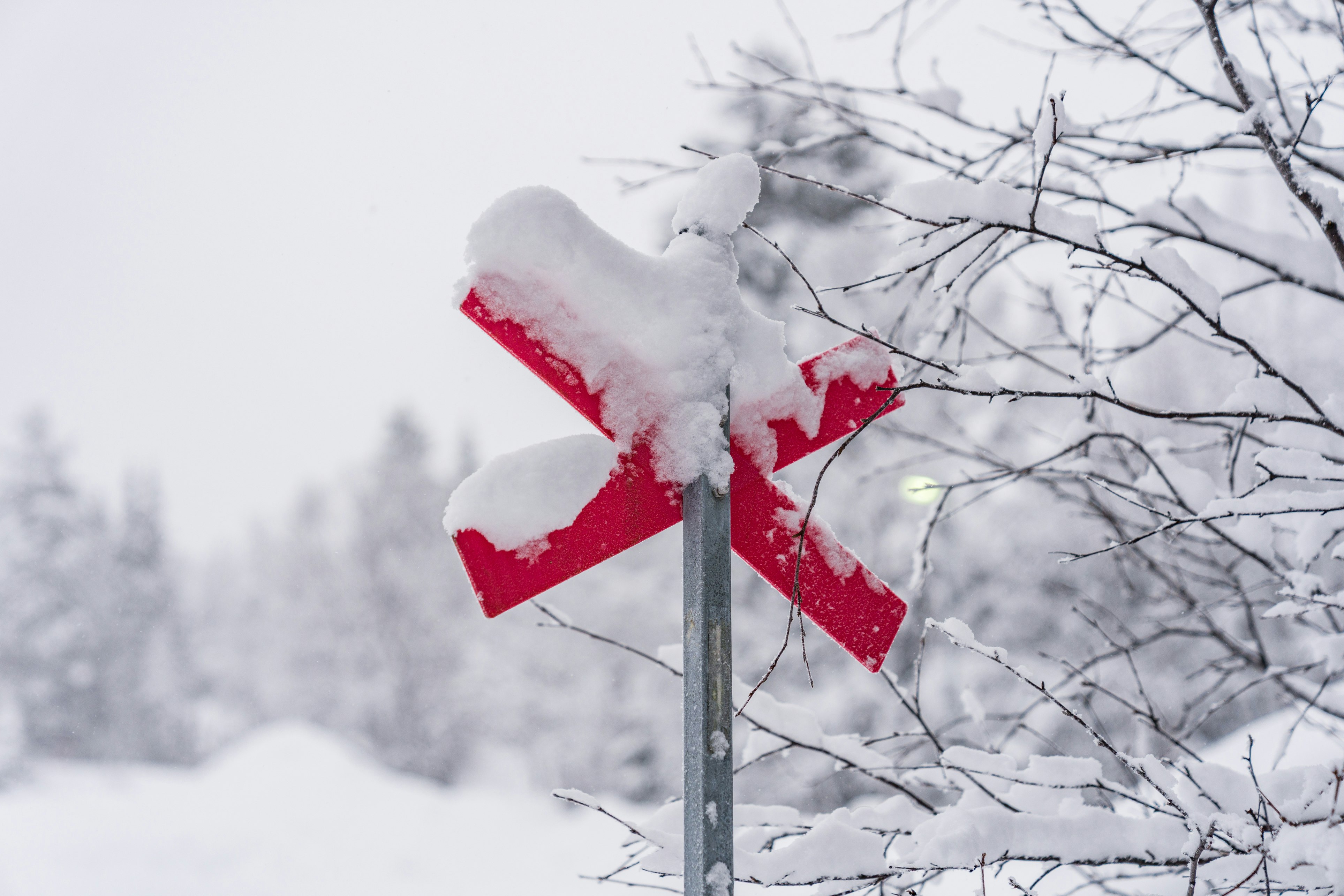 Gunnars Camping - Skipisten und Wanderwege in der Umgebung des Campingplatzes