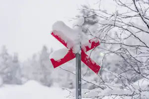 Verschneites Schild mit rotem Pfeil an einem Baum, Äste ragen im Hintergrund vor weißem Winterhimmel.