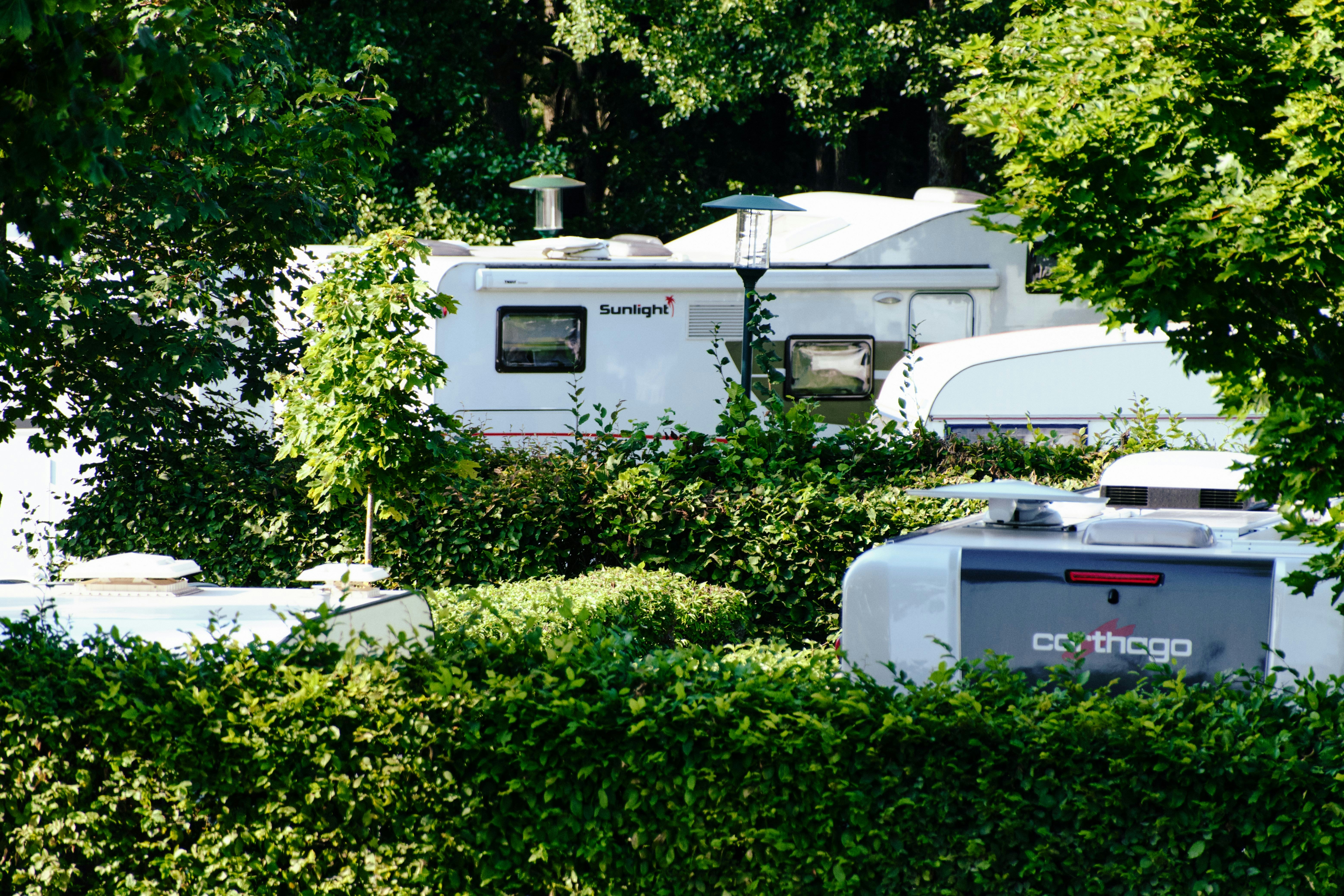 Haarstubencamp Reingers - Standplätze auf dem Campingplatz