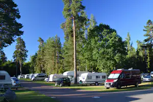 Wohnmobile und Autos auf dem Campingplatz, umgeben von hohen Bäumen im Wald, Blick in den blauen Himmel.