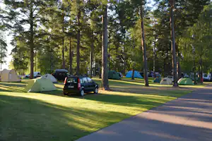 Campingplatz mit Zelten und Autos auf dem Stellplatz, umgeben von hohen Bäumen im grünen Gras.