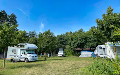 Hafencamp Senftenberger See