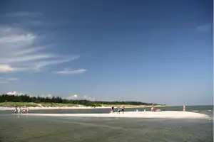 Hals Strand Camping - Blick auf den Strand mit grüner Landschaft im Hintergrund