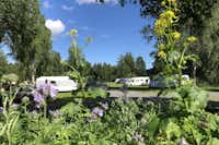 Hammarstrands Camping, Stugby och Fiske - Blick auf die Standplätze 