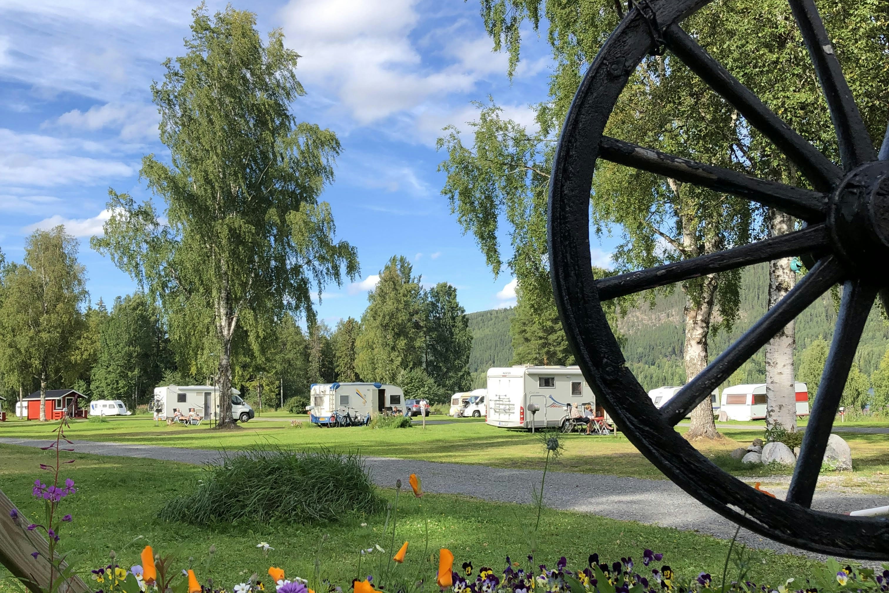 Hammarstrands Camping, Stugby och Fiske - Standplätze auf der Wiese 